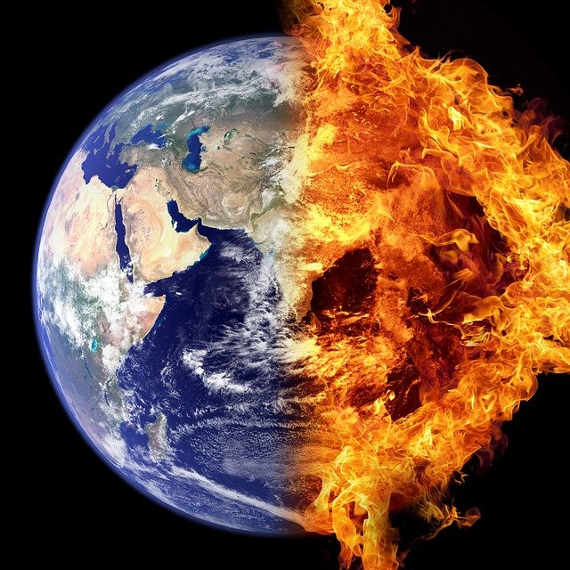 deterioramento degli ecosistemi e pandemia
