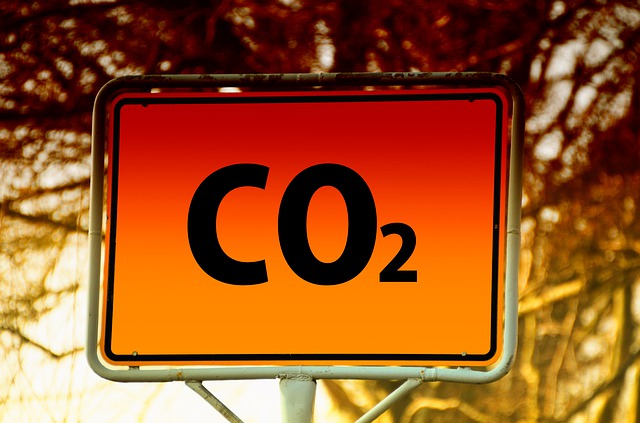 alberi servirebbero per compensare la CO2
