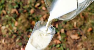 latte di Brescia