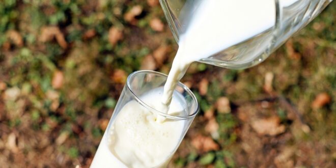 latte di Brescia