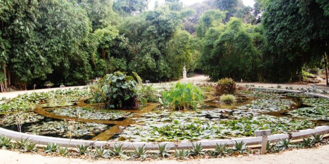 orto botanico di Palermo