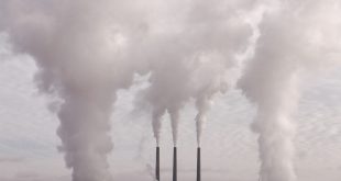 riforma del mercato del carbonio