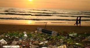 L'inquinamento da plastica costa