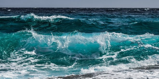le temperature del mare