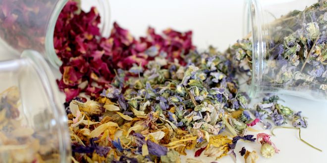 semi e coriandoli naturali