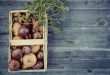 cucina ecosostenibile